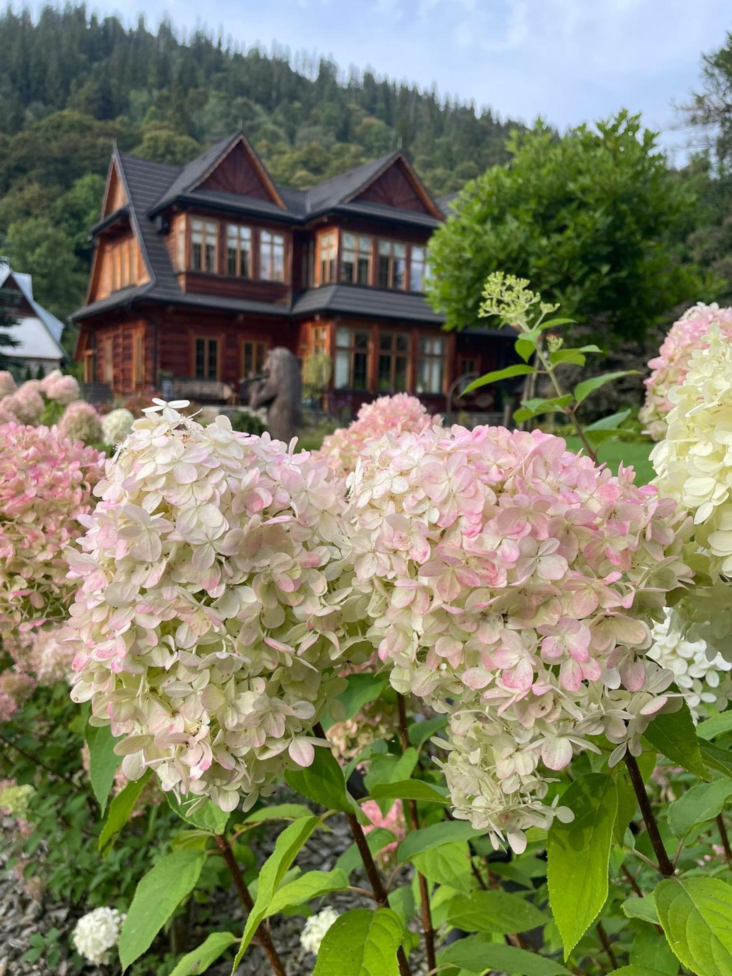 بورونين Niedzwiedzia Residence المظهر الخارجي الصورة